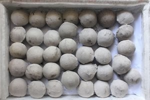 Lime Briquettes