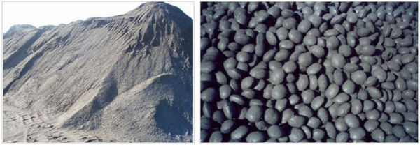 Raw Material and Final Briquettes